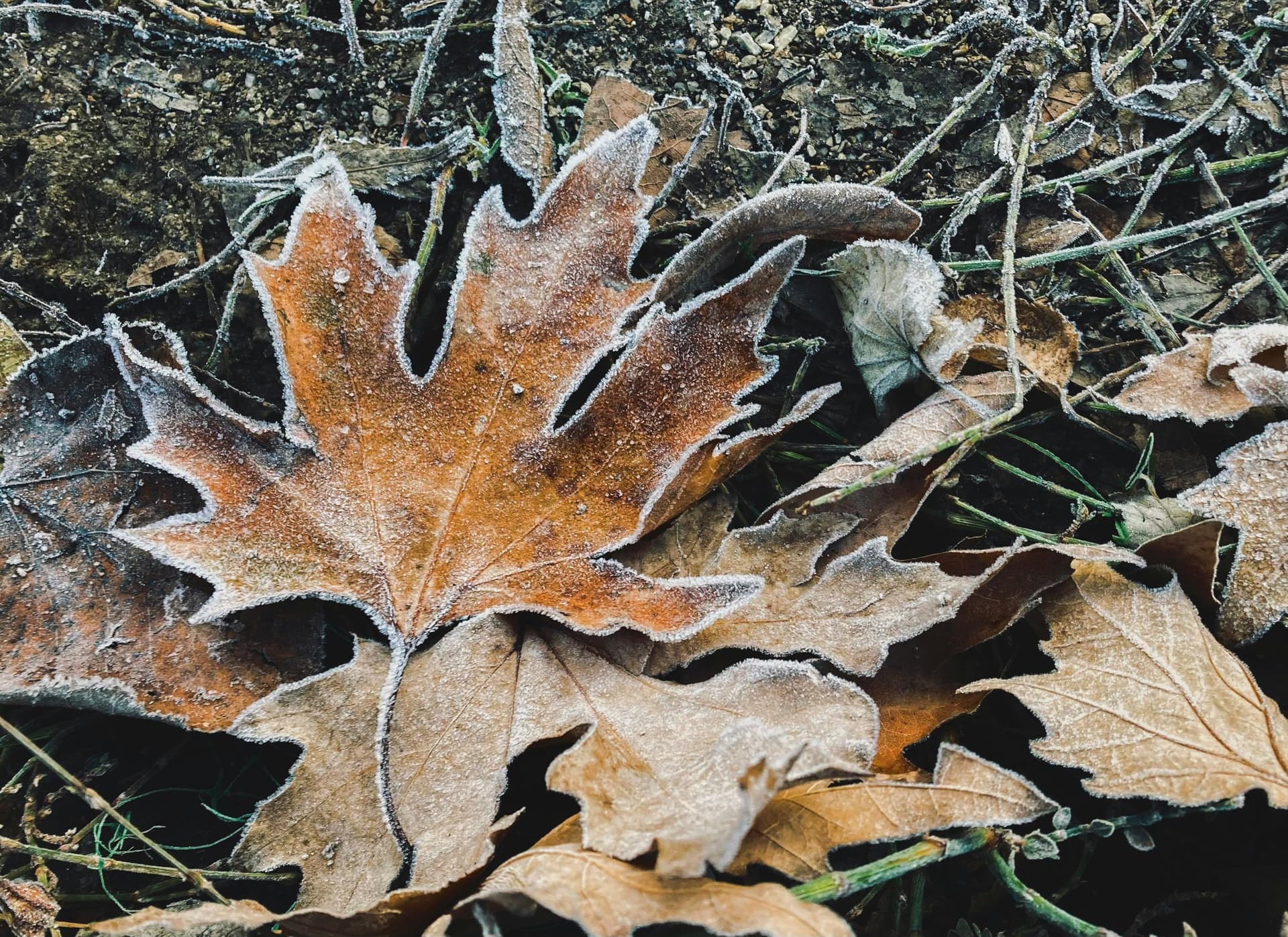 Featured image for the article “Winter Maintenance Tips”